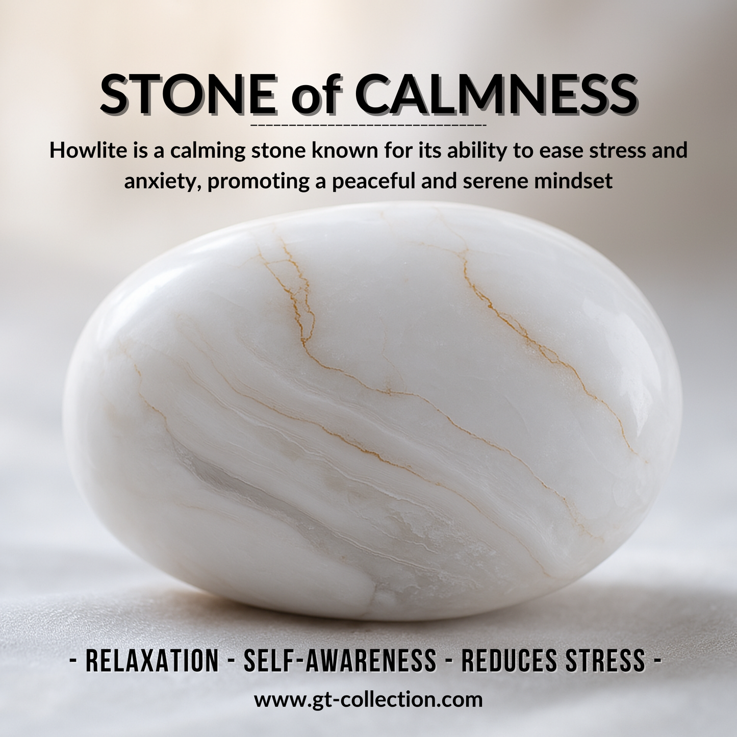 2 PIECE SET - HOWLITE Single Bead & Flatbead Bracelet